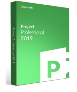 MICROSOFT Project 2019 Professional License – 1PC