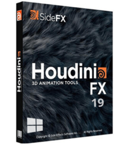 SideFX Houdini FX 19